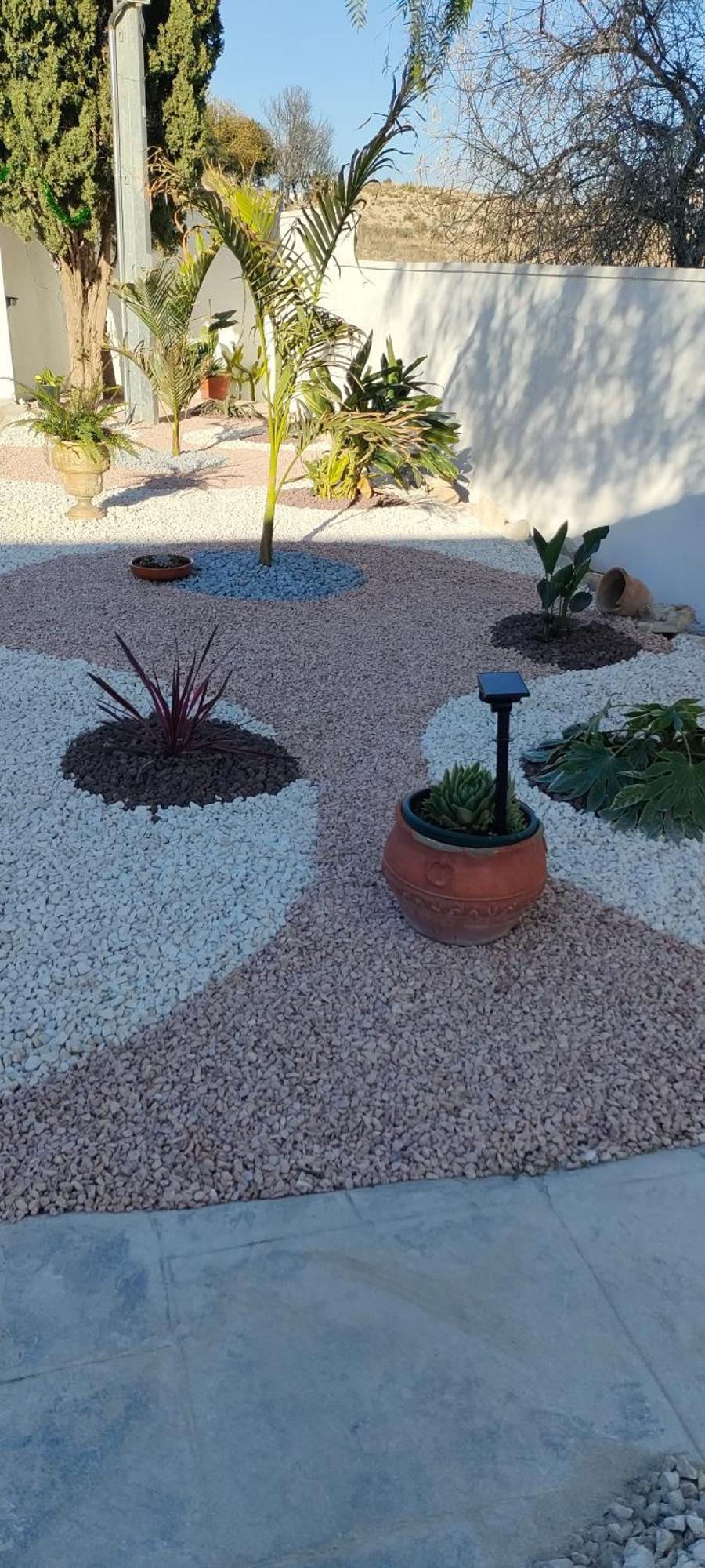 Casa Rural Con Piscina Climatizada Y Barbacoa A 10 Km De Alicante Y Playas, 3000 M2 De Terreno Elche Kültér fotó